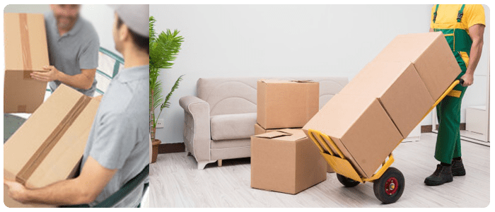 How to Hire Best Office Removalists in Adelaide?