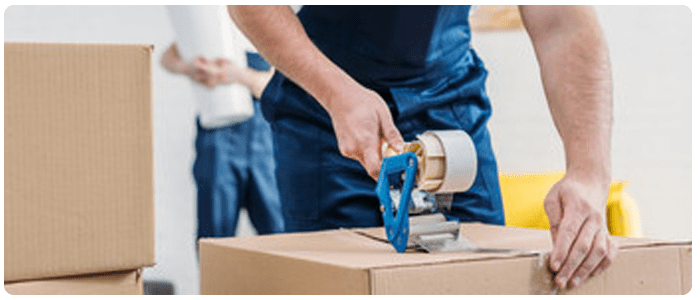 Movers and Packers professionals